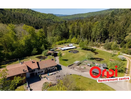 maison saint-nabord 145 m² t-6 à vendre  399 000 €
