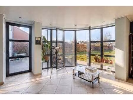 house with horse paddock 0.5 ha in langdorp