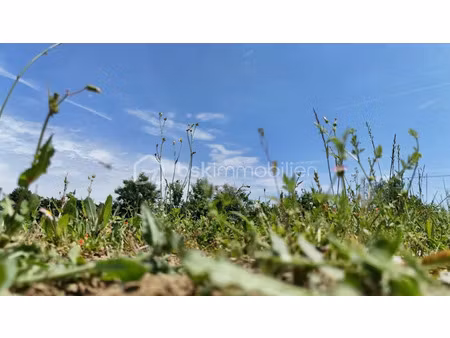 vente terrain 841 m² à lauzerville (31650)  178 000 €
