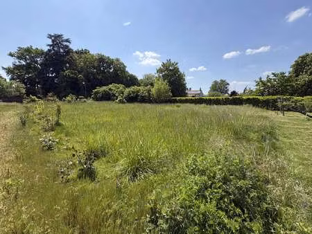 vente terrain à angrie (49440) : à vendre / angrie