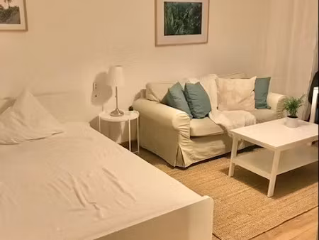 location meublée appartement 1 pièce 23 m² à mulhouse (68100)  530 €