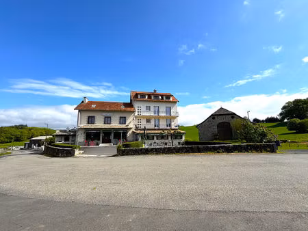 maison lacapelle del fraisse - 14 pièce(s) - 492 m2