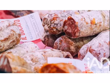 vente boucherie  charcuterie undefined m²