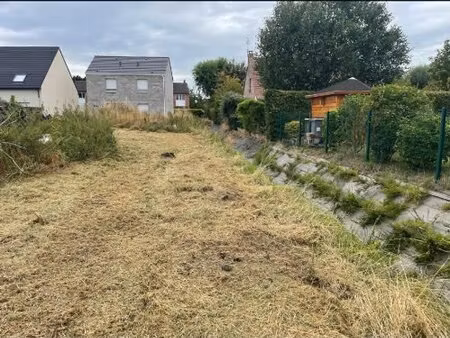 terrain
