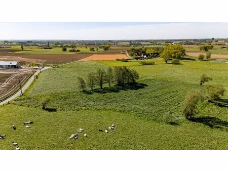 grond te koop in tielt