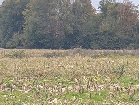 vente terrain agricole 4 648 m²