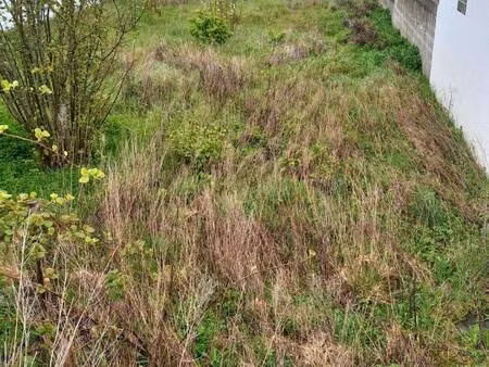 terrain constructible viabilisé à vendre