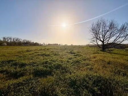 terrain constructible à vendre
