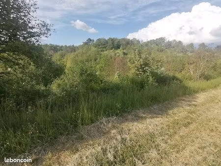 terrain pour jardin entrée de ville