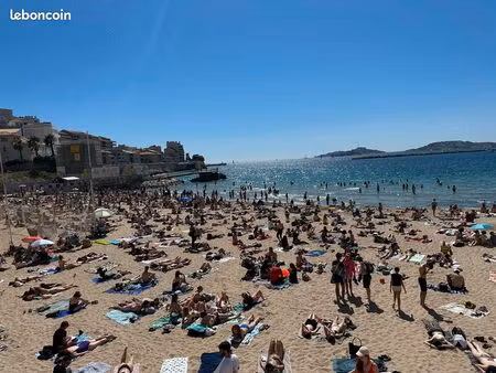 appartement t2 catalans viager occupé 95 ans