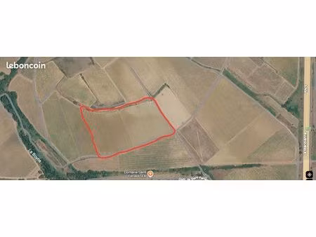 vigne à vendre - 4ha d'un seul tenant