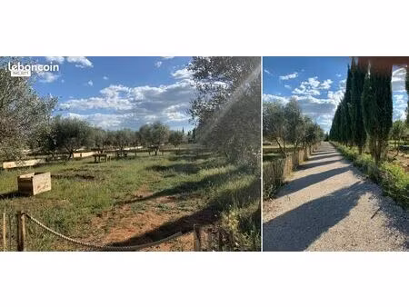 parcelles de jardin de loisirs à mudaison  proche montpellier