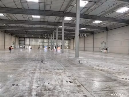 local logistique 5 531 m²