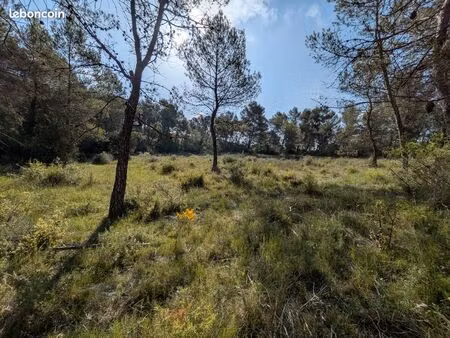 terrain a vendre