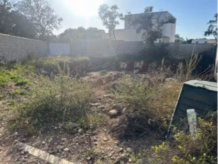 terrain baillargues 350m2