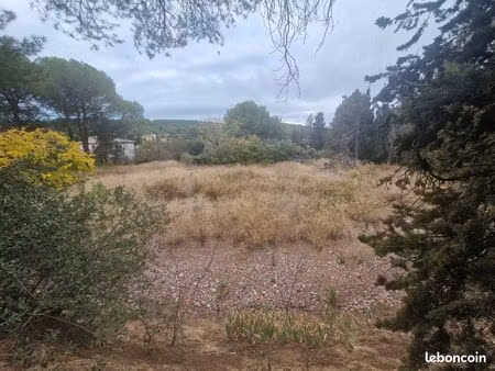 terrain constructible