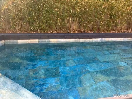 maison contemporaine avec vue  piscine et jardin