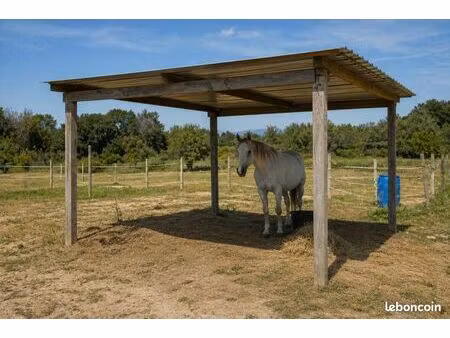 terrain pour chevaux au calme – béziers