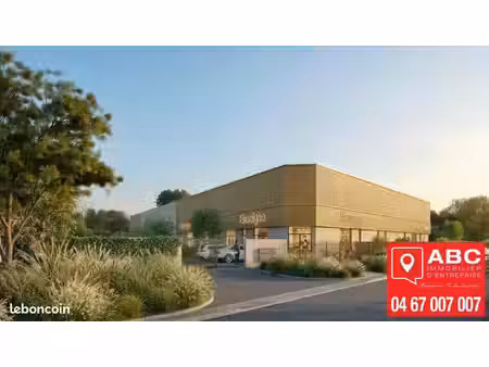 local commercial 160 m² maraussan