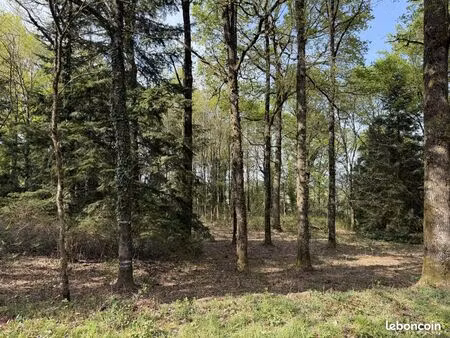 terrain 2450 m² pancé
