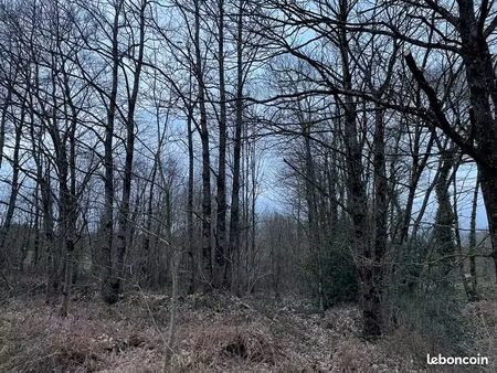 terrain boisé 3 780 m² – talensac (chomitonerie)