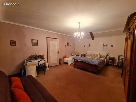 appartement 2 pieces 50 m2 centre ville