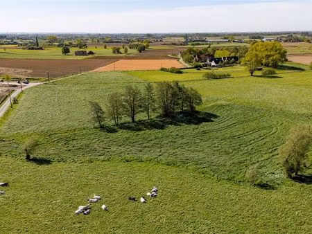 terrain à vendre à tielt € 45.000 (lntgr) - vastgoed elien | zimmo