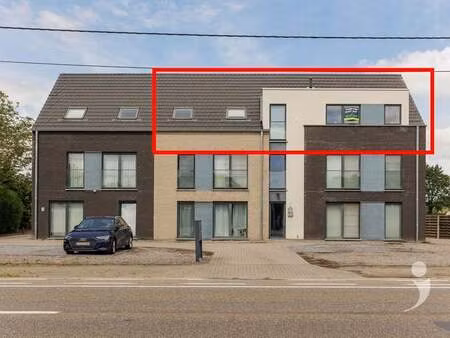 appartement à vendre à herselt € 349.500 (lntvs) - immo liv it | zimmo