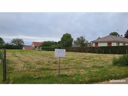 terrain constructible