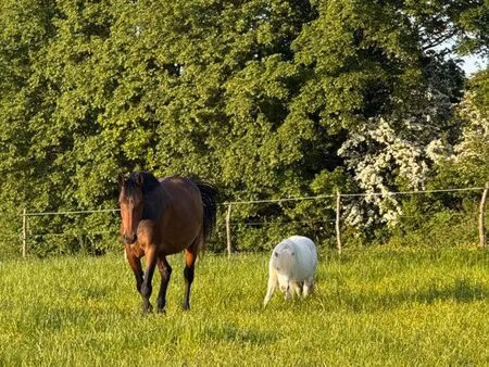 recherche parcelle agricole