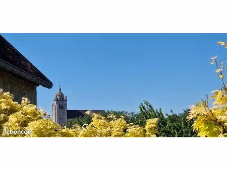 rare à dole : maison en pierre avec vue collégiale