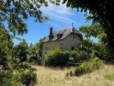 maison de caractère avec parc arboré – pellevoisin