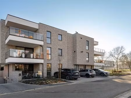 appartement à louer à bree € 995 (lnrap) - 't huys vastgoed | zimmo