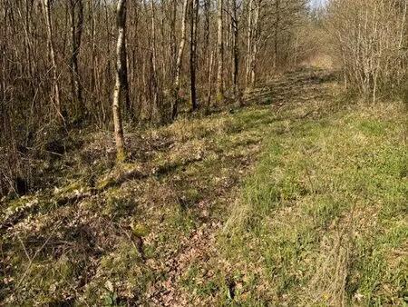 terrain de loisirs