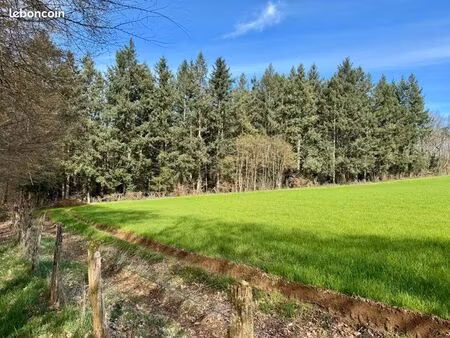 vends terrain bois de sapins