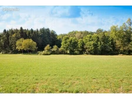 recherche terrain constructible