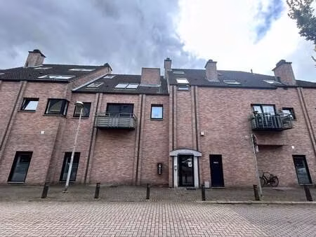 appartement à louer à zonhoven € 650 (lns9r) - era nobis (zonhoven) | zimmo