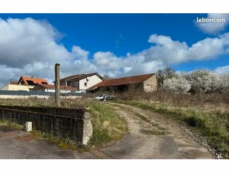 local d'activite 1300 m² teting-sur-nied
