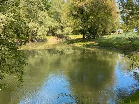 terrain etang avec maisonnette