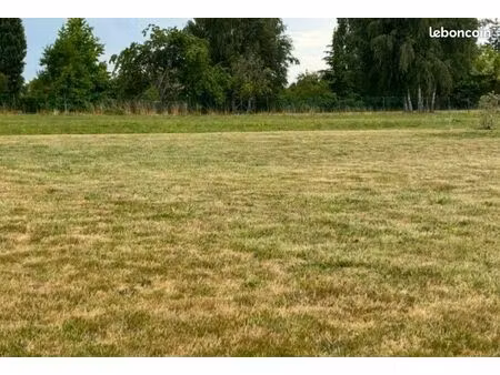 terrain constructible