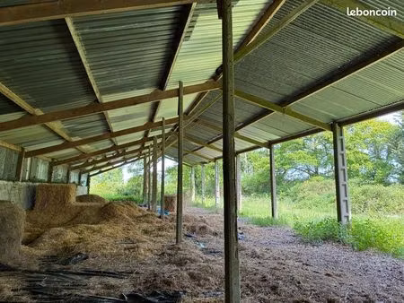 hangar  agricole 900 m²
