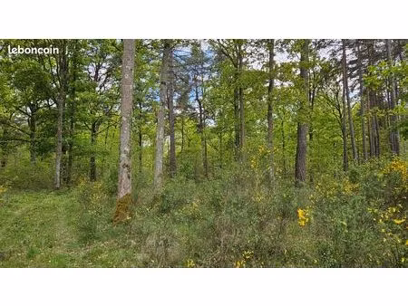 parcelles de bois