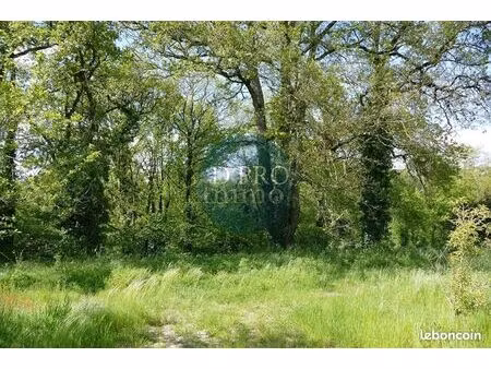 terrain 1115 m² aigrefeuille-sur-maine