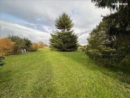 terrain constructible