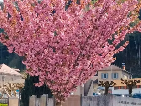 recherche meublé avec jardin ?