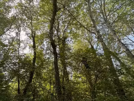 54 parcelles de bois pour 3 56 hectares