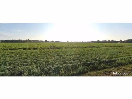 terrain 321 m² raches