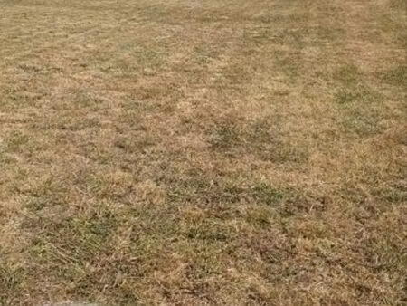 terrain 1500 m2