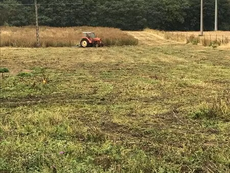 terrain agricole à louer – 2 hectares – idéal maraîchage ou pâture