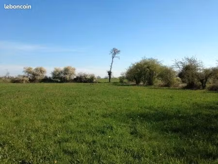 terrain 520 m² chinon